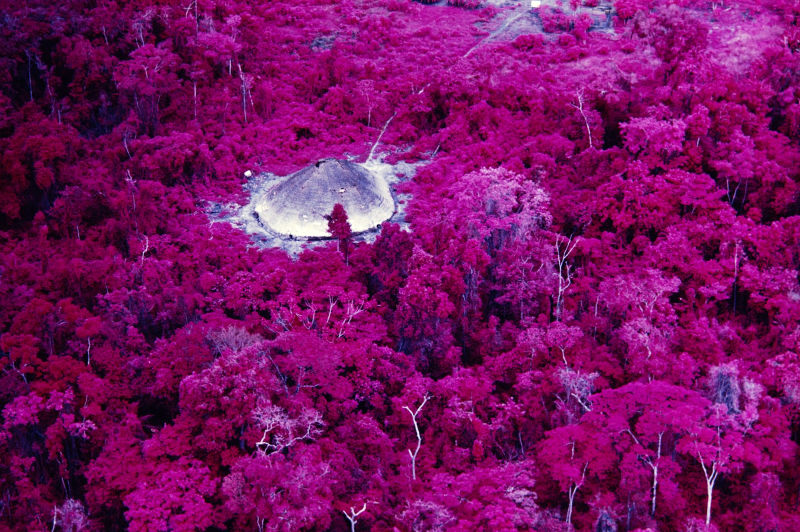 Exposição Claudia Andujar – A luta Yanomami. Maloca próxima à missão católica do rio Catrimani, RR, filme infravermelho, 1976 — Foto: Claudia Andujar