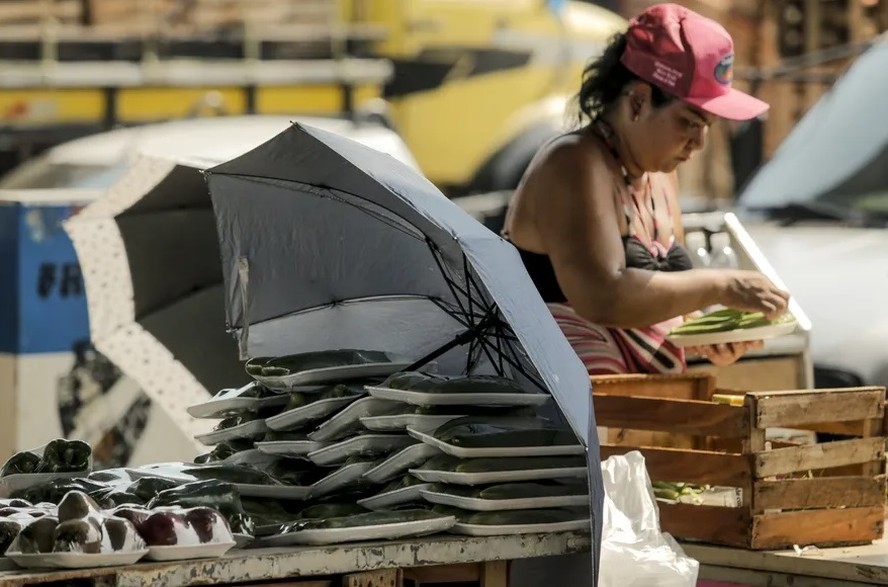 Os comerciantes usam sombrinhas para proteger produtos do sol no Ceasa-RJ