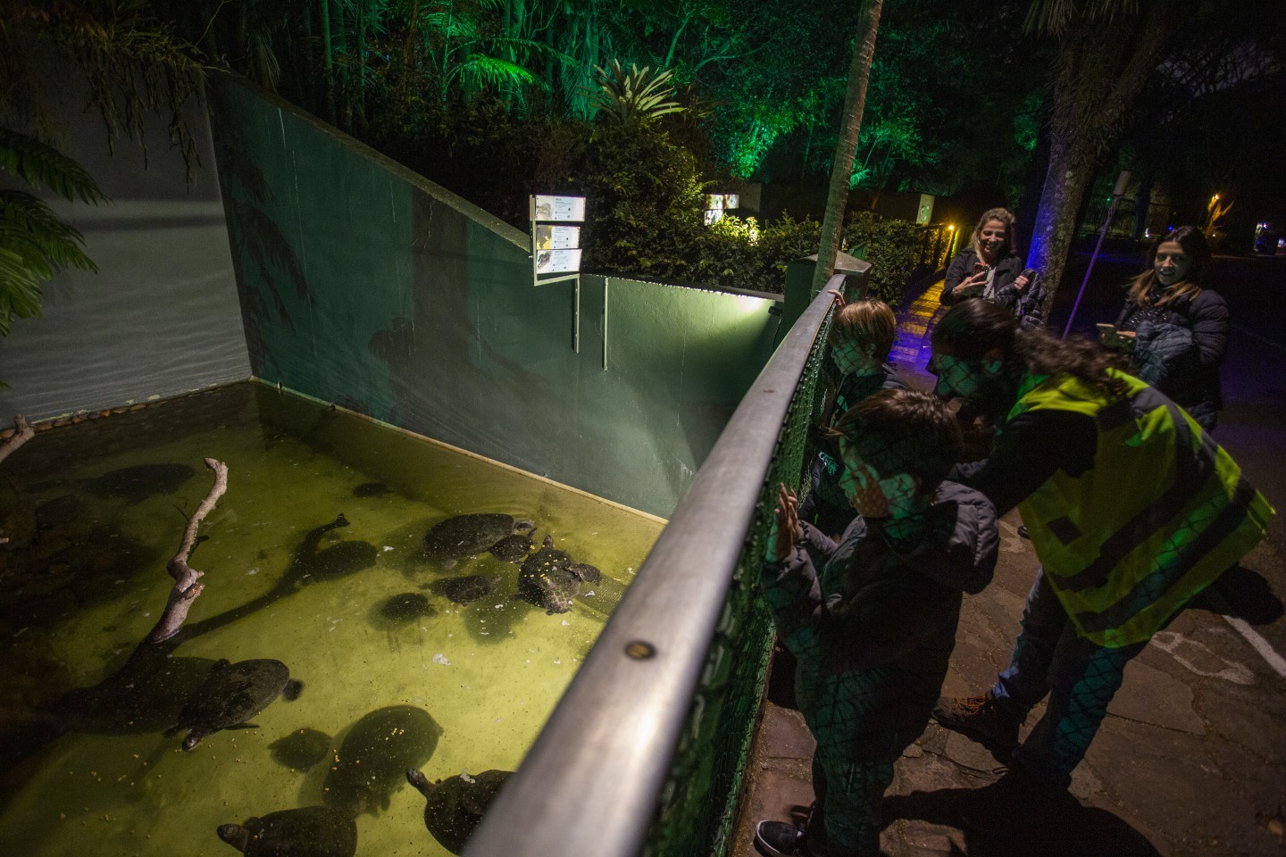 O zoológico tornou o tour à noite permanente depois de 7 mil pessoas terem participado da atividade durante as férias de julho — Foto: Maria Isabel Oliveira