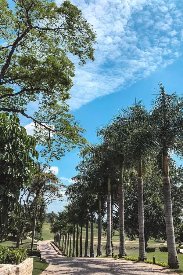 Fazenda de Roberto Justus: conheça a enorme propriedade do empresário — Foto: Reprodução Instagram