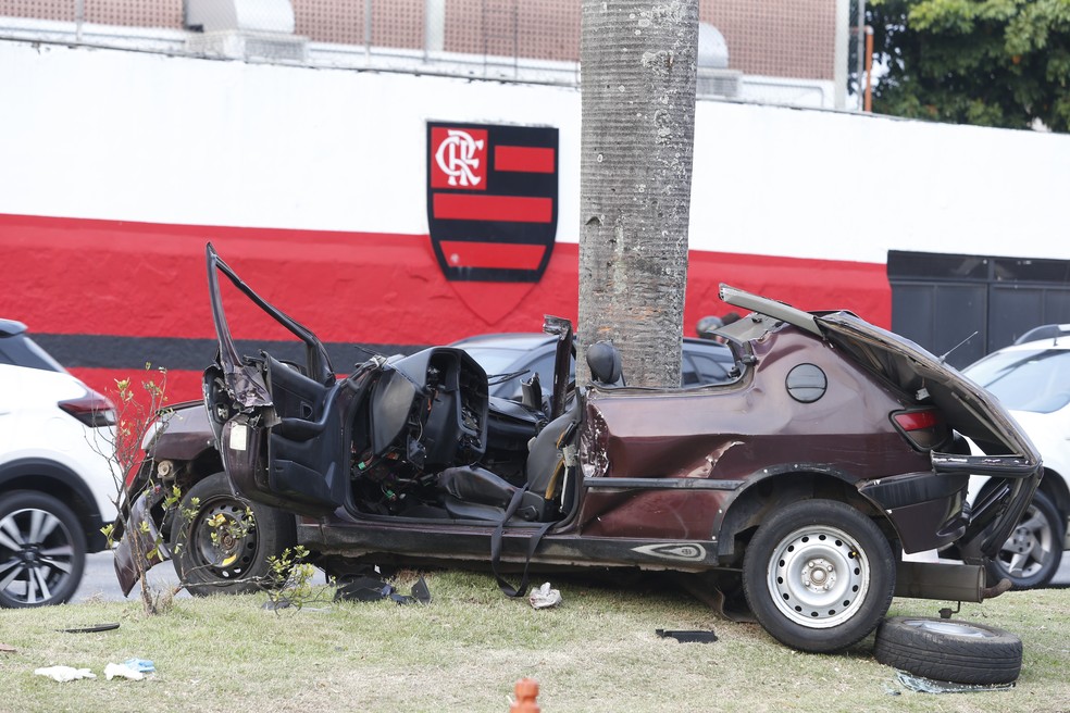 O Peugeot ficou completamente destruído após bater contra a palmeira — Foto: Fabiano Rocha/Agência O Globo