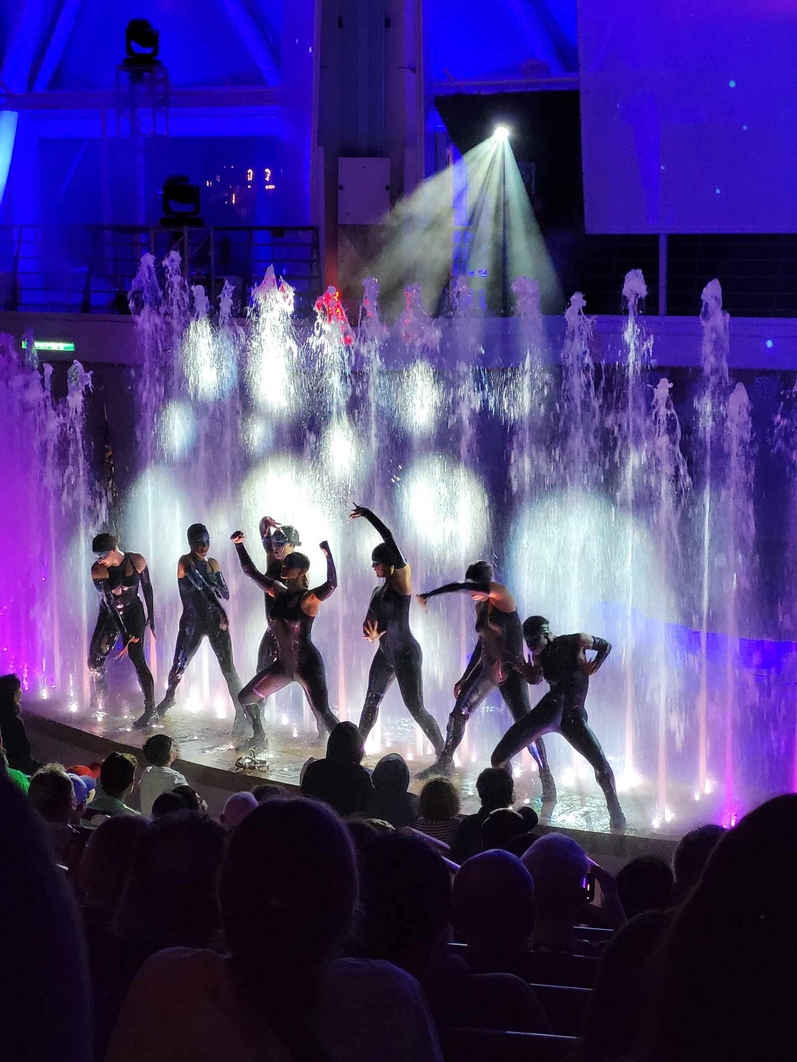 Cena do espetáculo 'InTENse', um dos mais impressionantes a bordo do Wonder of the Seas, que combina dança, nado sincronizado e acrobacias aquáticas — Foto: Eduardo Maia / O Globo