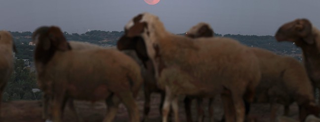 A 'Superlua Azul' surge no céu da Faixa de Gaza vista da cidade de Beit Lahia, no norte da Palestina — Foto: MOHAMMED ABED / AFP