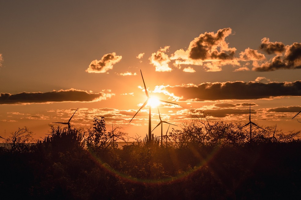 Proejto eólico na Serra da Babilônia, da Rio Energy, comprada pela Equinor — Foto: Divulgação