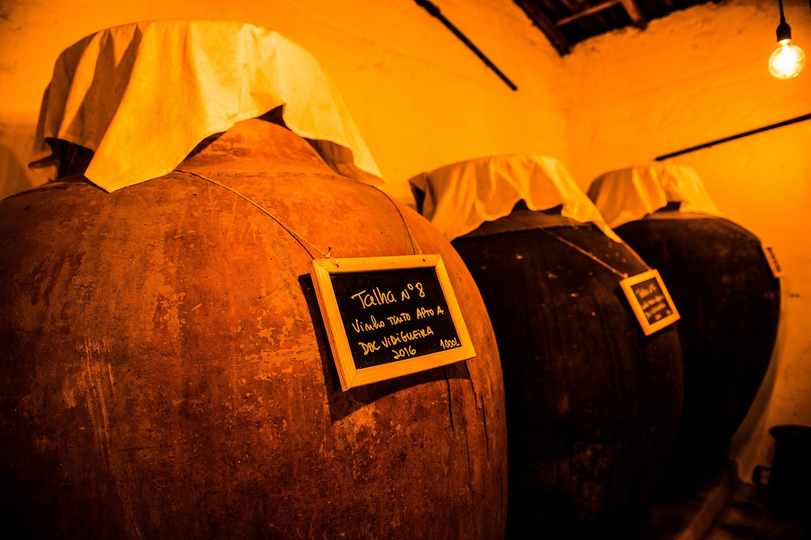 O Rocim mantém a produção dos vinhos de talha, herança romana — Foto: Divulgação