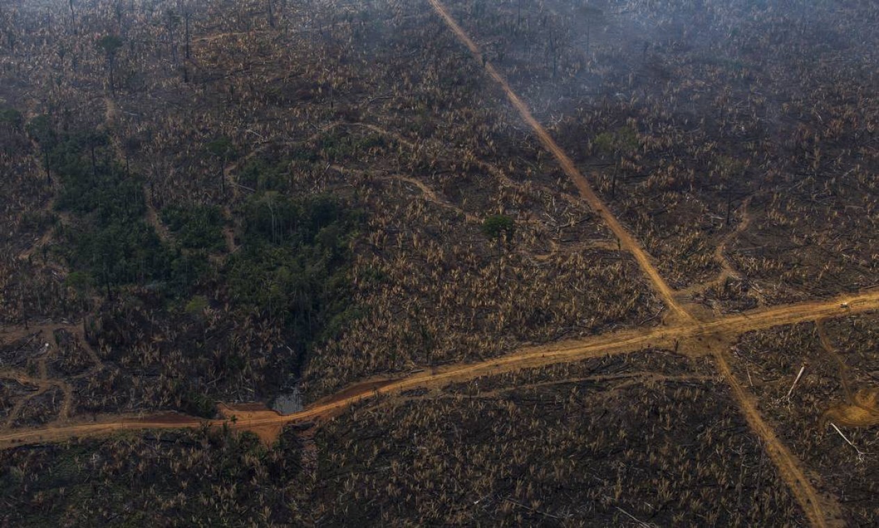 Ambientalistas, pesquisadores, indigenistas e indígenas se dizem preocupados com impactos das queimadas e dos incêndios no território, reduzindo a floresta, afetando a fauna e a saúde de habitantes do estado de Rondônia — Foto: Edilson Dantas / Agência O Globo