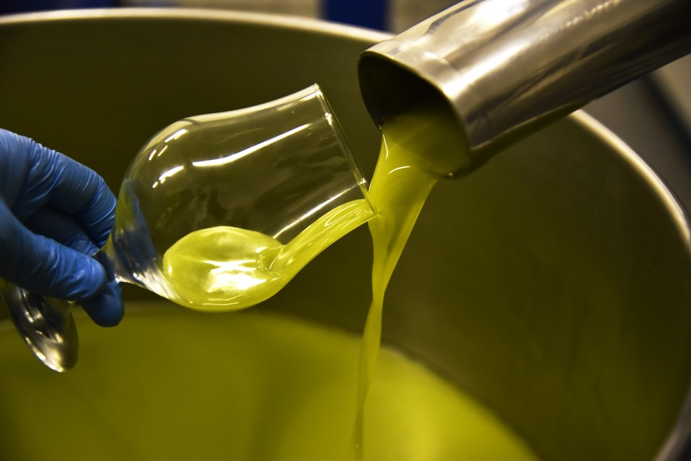 Extração de azeite da marca Prosperato — Foto: Agência O Globo