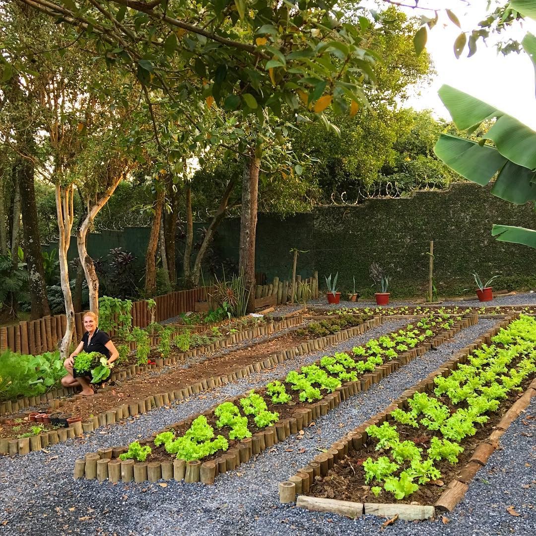 Horta no espaço verde da casa de Ana Hickmann — Foto: Reprodução/Instagram