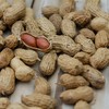 O NIAID recomenda introduzir alimentos com amendoim entre 4 e 6 meses de idade para reduzir o risco de alergia. - Pixabay