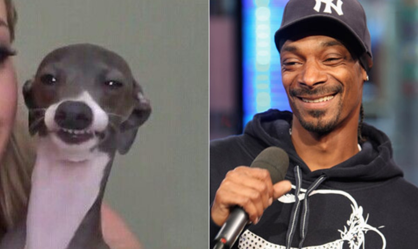 Snoop Dog — Foto: Reprodução
