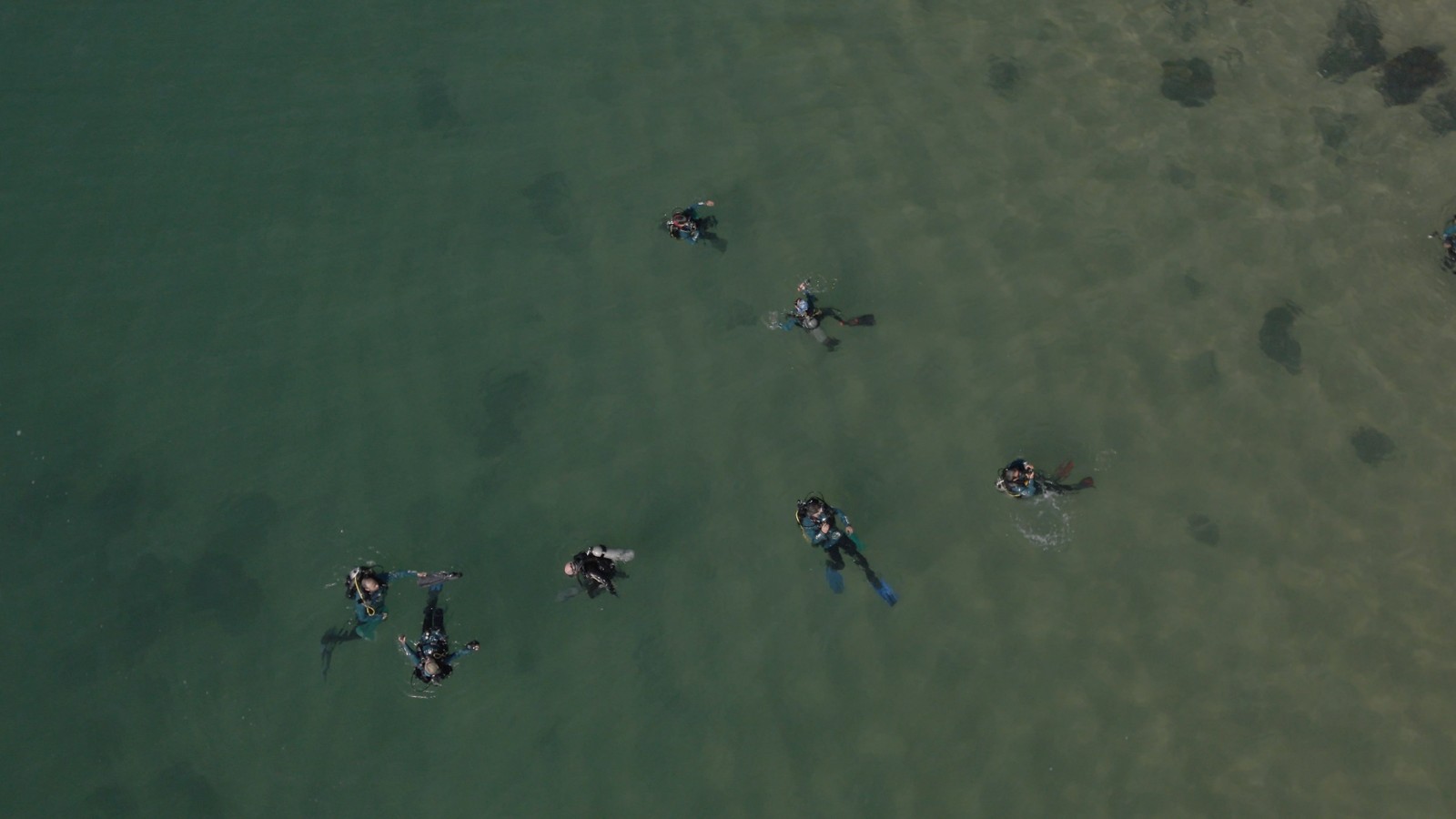 O Projeto Verde Mar tem mergulhadores para coleta de resíduos no mar, a serem catalogados e usados como dado em estudos científicos — Foto: Projeto Verde Mar / Divulgação