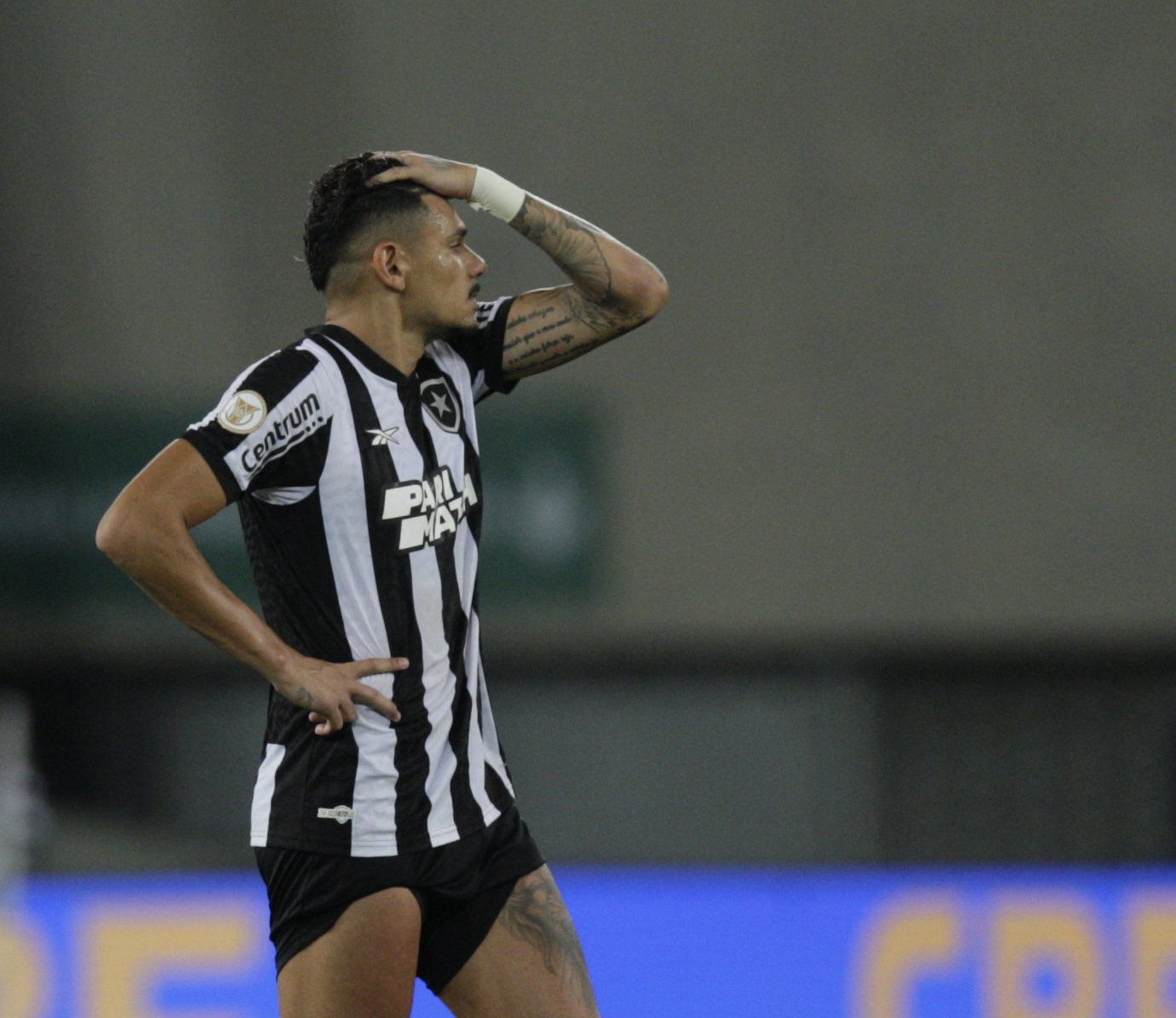 Tiquinho Soares teve atuação criticada no jogo do Botafogo contra o Palmeiras — Foto: Alexandre Cassiano/Agência O Globo