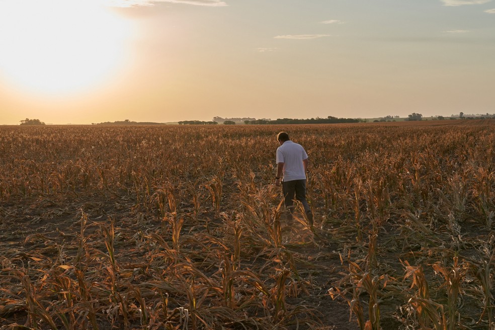 Argentina enfrenta a maior seca desde 1929, o que deve piorar a crise. Produtores seguram a liquidação de divisas por exportações, o que agrava escassez de dólares — Foto: Natalia Favre/Bloomberg