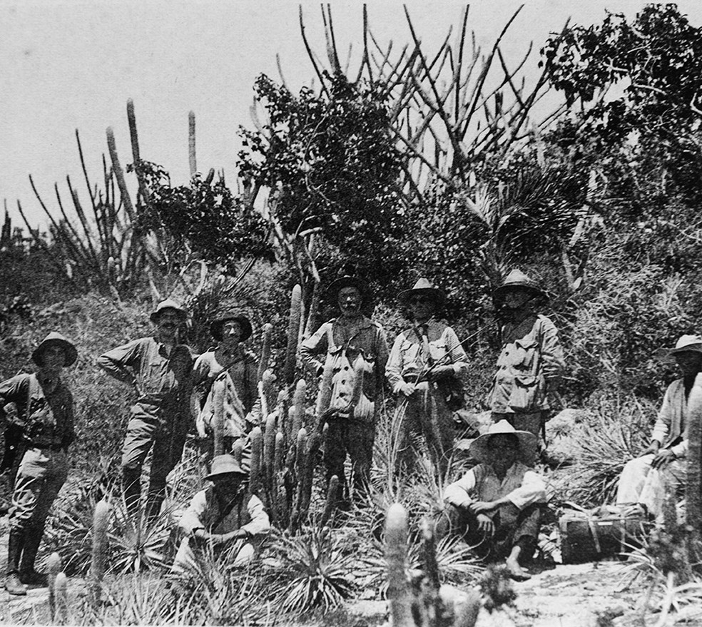 Os biólogos belgas em trabalho de campo, 1922 — Foto:  Instituto de Pesquisas Jardim Botânico do Rio de Janeiro