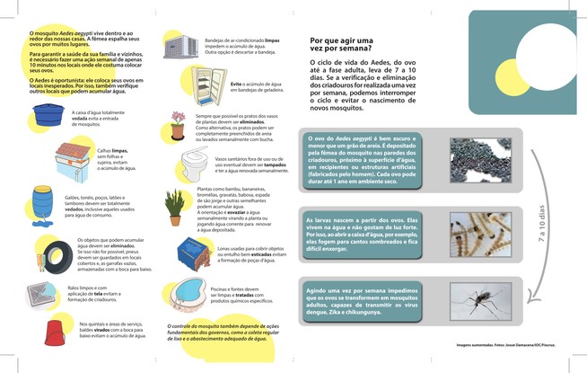 Iniciativas de combate ao mosquito transmissor da dengue, o Aedes aegypti.