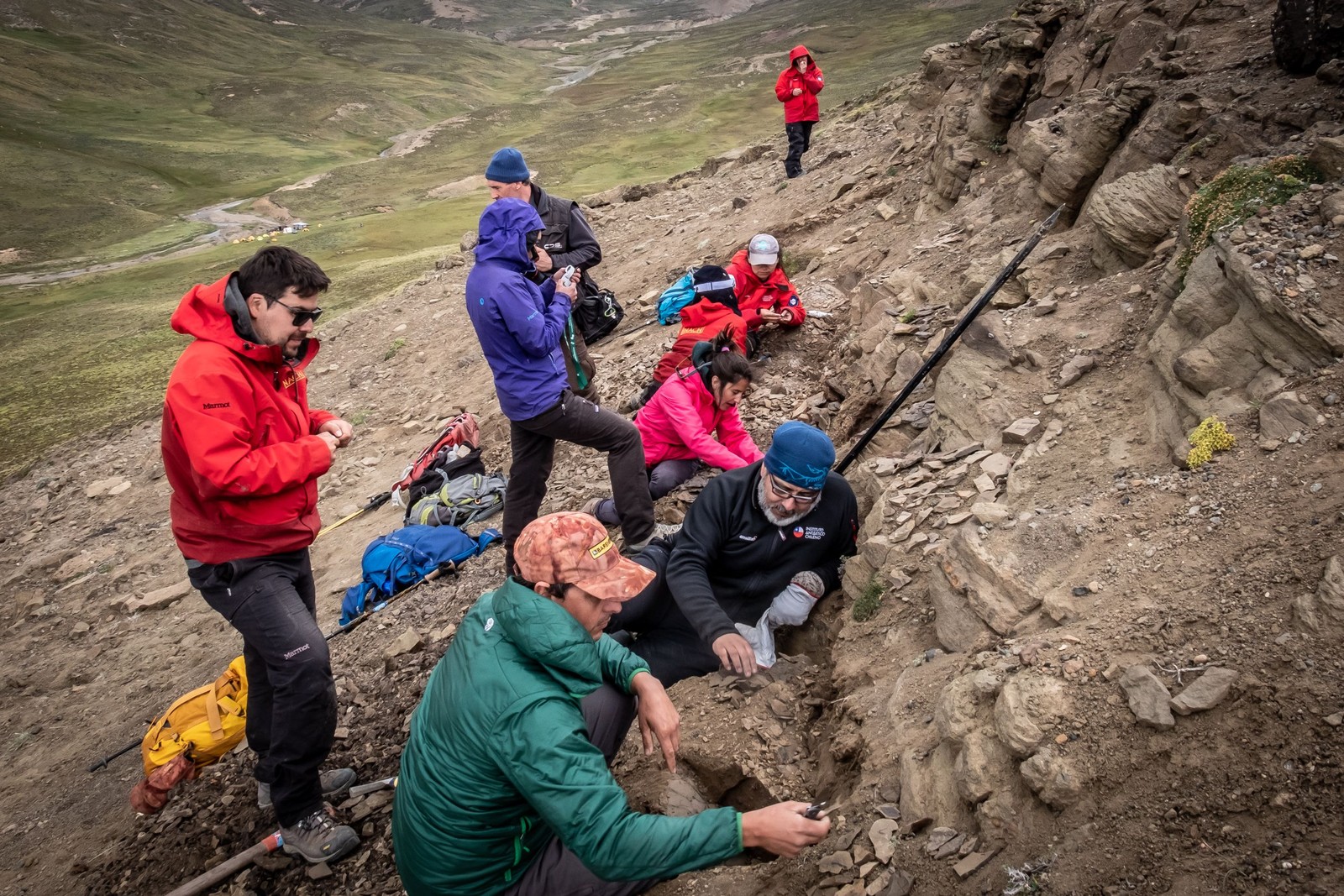 Cientistas encontram quatro tipos de dinossauros na Patagônia chilena — Foto: INACH / AFP