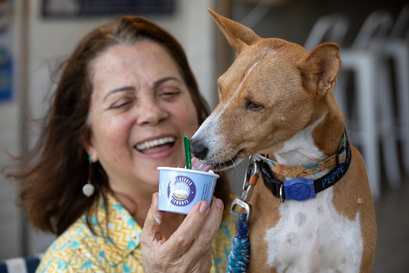 Gelaterias trabalham com serviços diferenciados para atrair clientes o ano todo. Thereza Marino oferece sorvete de creme para o cãozinho Pepe na Gelateria Piemont, em Copacabana. Foto: Ana Branco/Agência O Globo