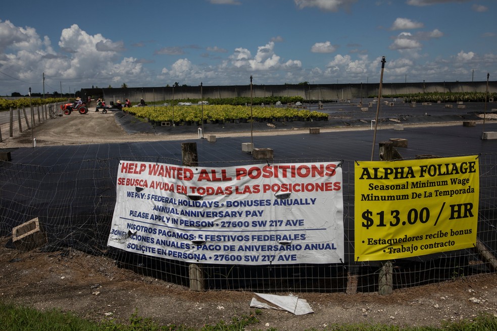 Placas com oferta de vagas com descrições em inglês e espanhol, na Flórida — Foto: Kirsten Luce / New York Times