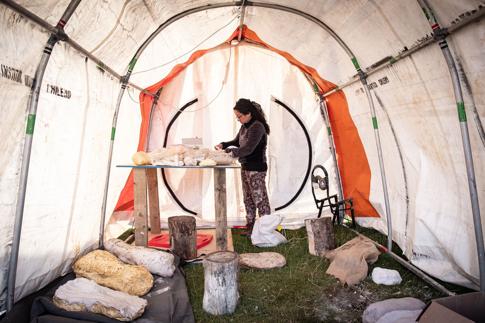 Após recolherem fósseis em Cerro Guido, perto da fronteira com a Argentina, em 2021, os cientistas analisaram os restos em laboratório — Foto: INACH / AFP