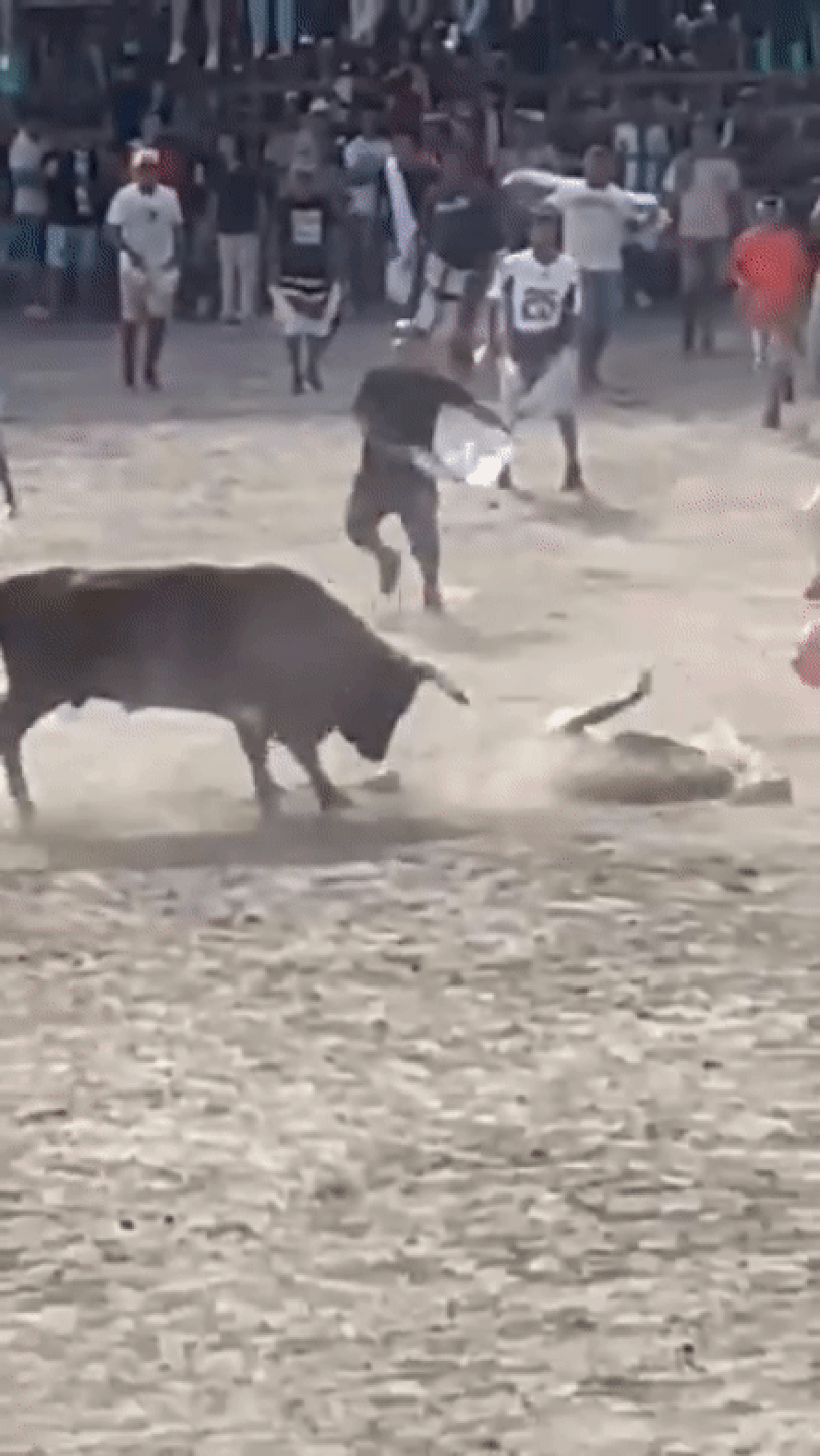 Touro ataca homem durante festival de tourada na Colômbia