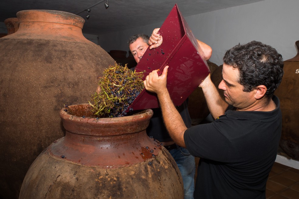 Uvas e engaços são colocados em talha para a produção de vinho tinto no Alentejo — Foto: Divulgação / CVRA