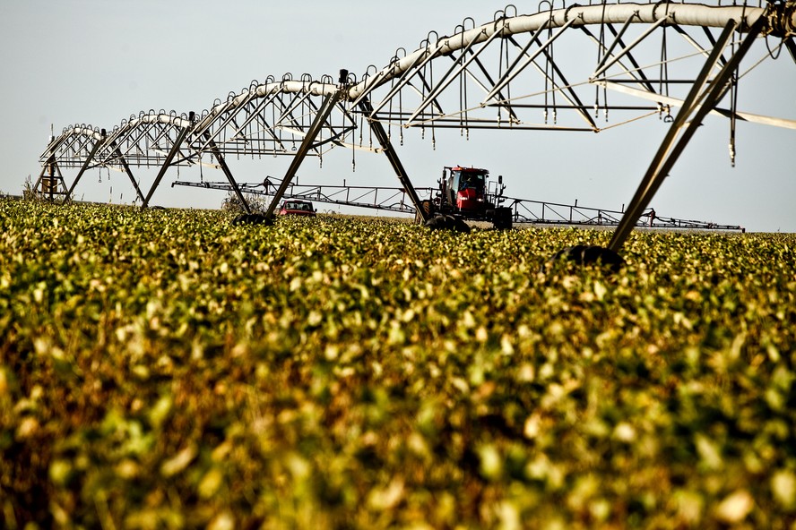 Soja está entre as commodities brasileiras com maior volume de exportação