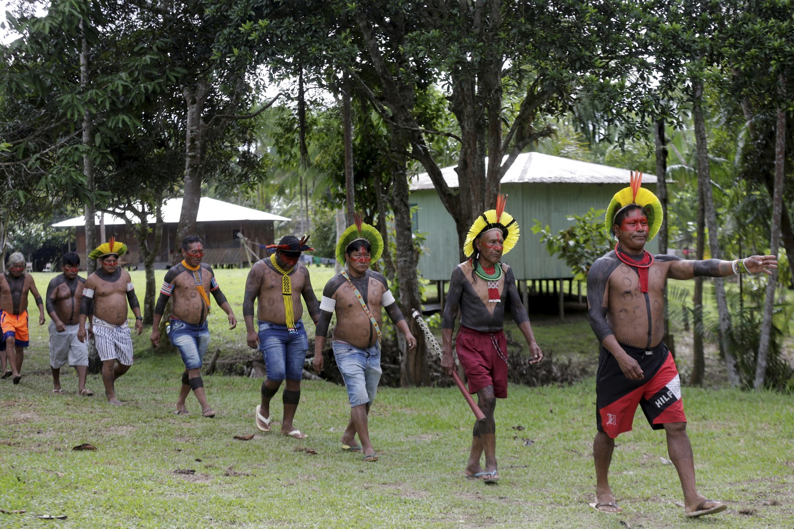 Lideranças kayapós saem em fila para o encontro com seus pares ashaninkas para partir em expedição na mata densa da floresta amazõnica - Foto: Domingos Peixoto / Agência O Globo