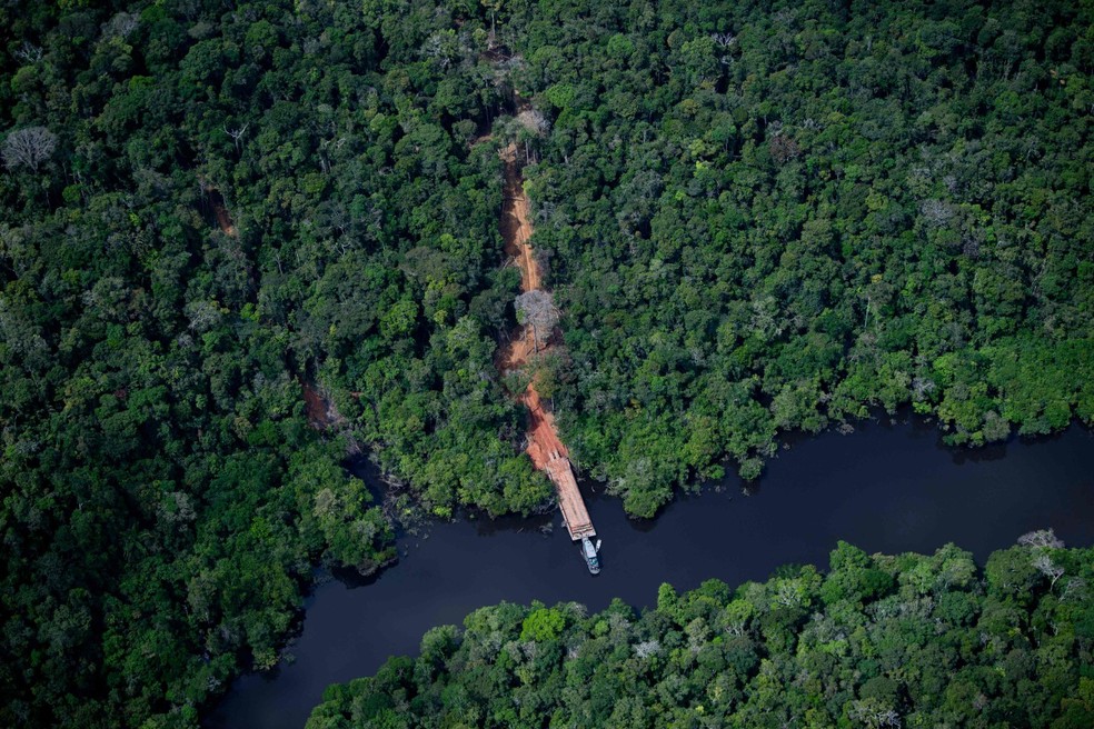 Retirada de madeira na Floresta Amazônica — Foto: Mauro Pimentel/AFP