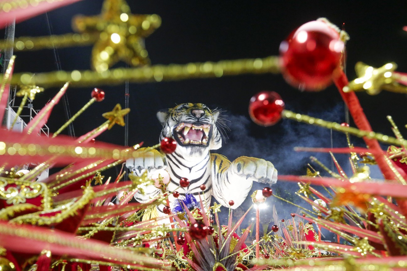 Tigre, símbolo da Porto da Pedra — Foto: Domingos Peixoto / Agência O GLOBO