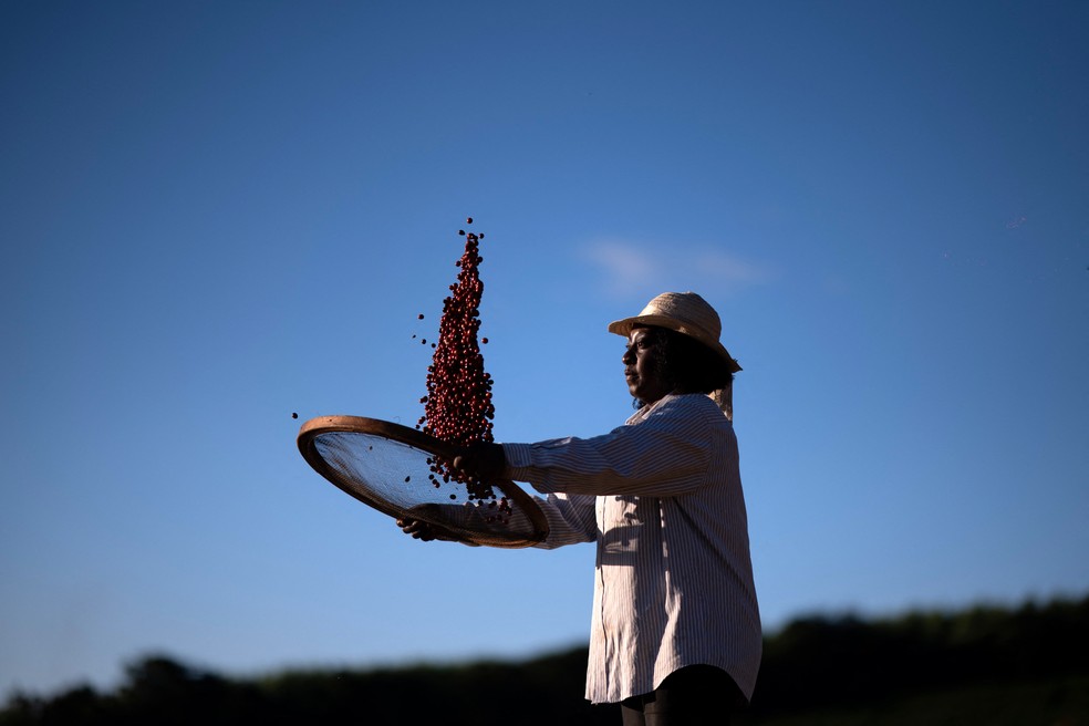 Produção de café em Minas Gerais: setor desenvolveu uma plataforma para rastrear a origem dos produtos exportados para a UE — Foto: Douglas Magno/AFP