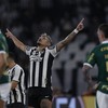 Tiquinho Soares marcou para o Botafogo sobre o Palmeiras - Alexandre Cassiano/O Globo
