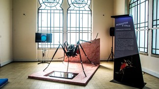 Réplica do mosquito transmissor da dengue é um dos destaques da exposição — Foto: Divulgação
