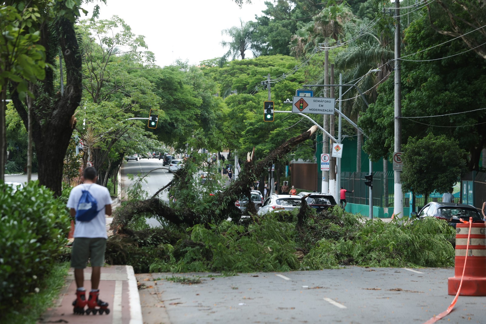 Árvore fecha via próxima ao Parque Ibirapuera; temporal de sexta-feira causou estragos na cidade — Foto: Maria Isabel Oliveira / Agência O Globo