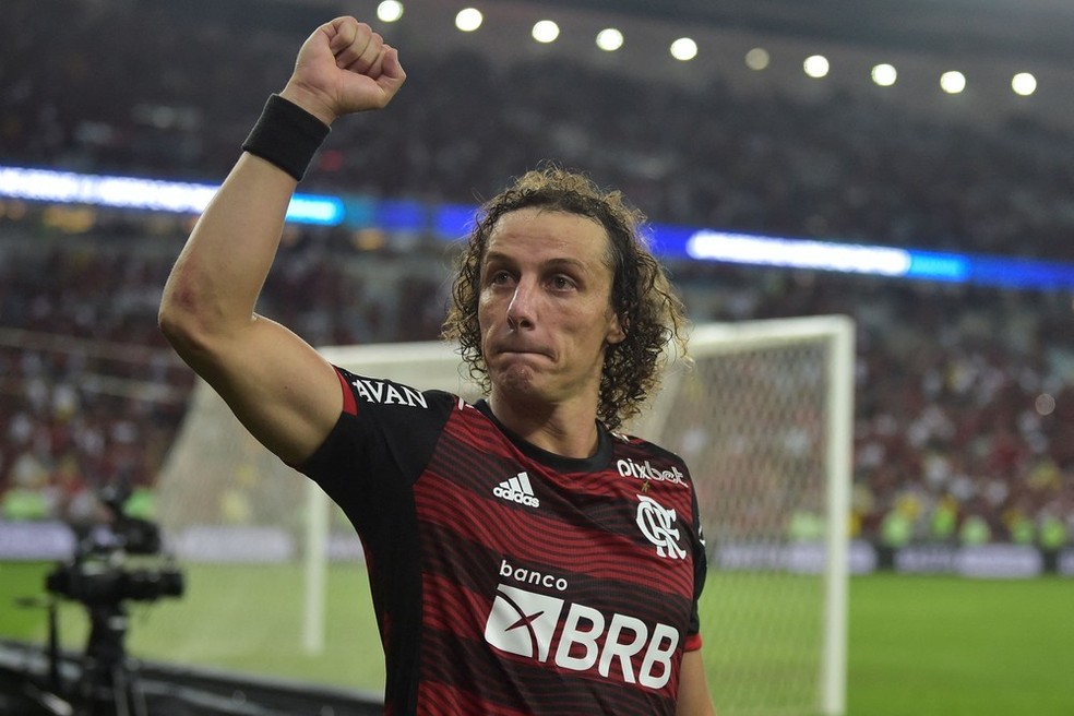 O zagueiro do Flamengo David Luiz comemora vitória no Maracanã — Foto: CARL DE SOUZA/AFP