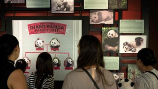 Pessoas veem uma exposição na Panda House no Smithsonian National Zoo durante o "Panda Palooza: A Giant Farewell" em Washington, DC — Foto: Brendan Smialowski/AFP