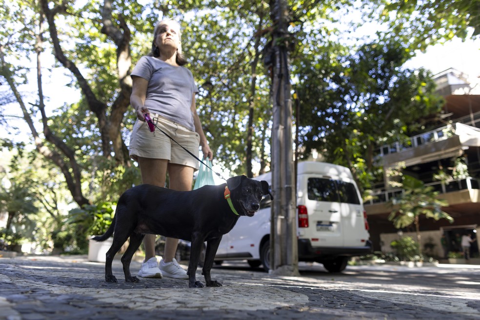 A tutora Sandra teve que mudar a rotina com Dori após os envenenamentos — Foto: Marcia Foletto