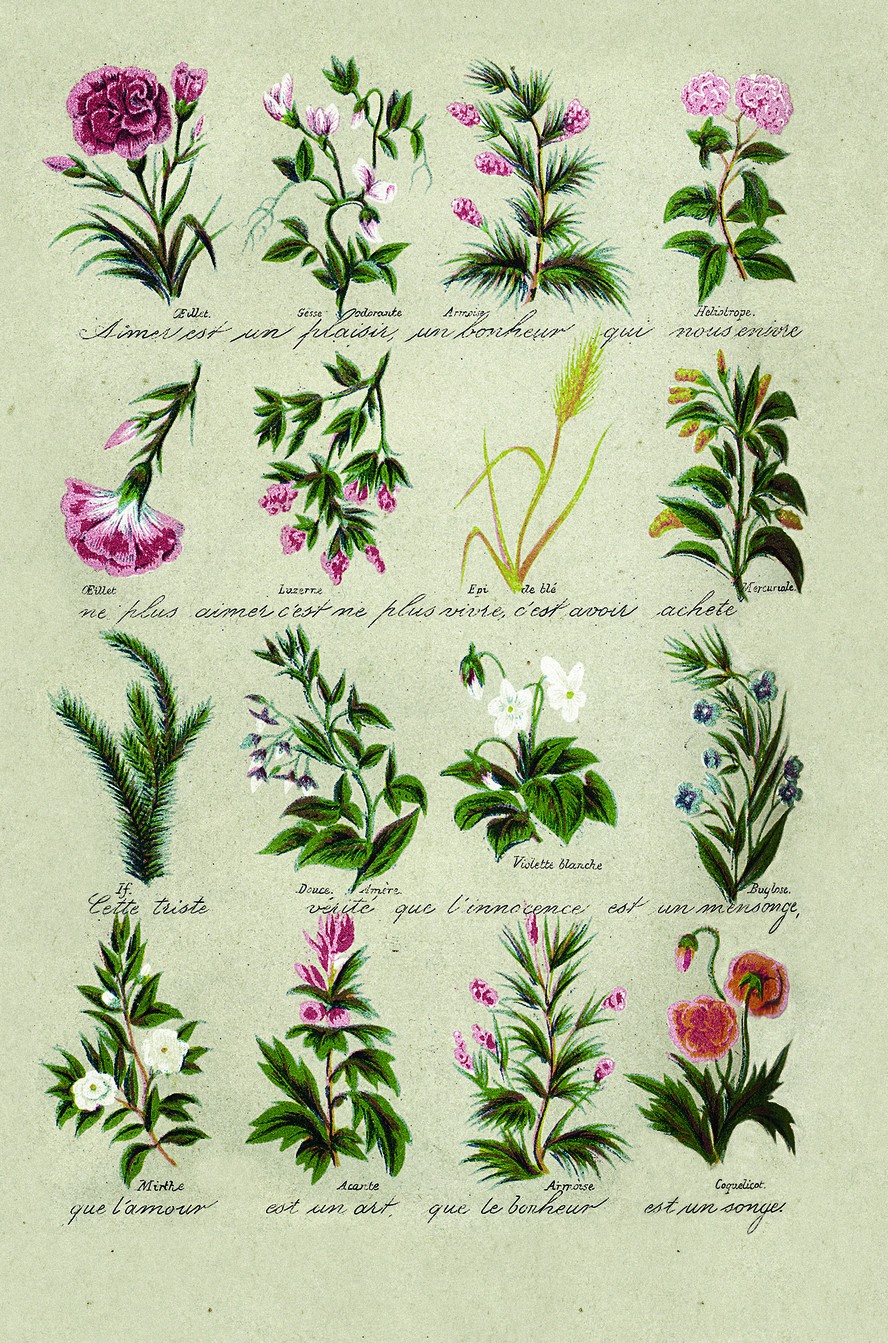Ilustração de um dicionário das flores francês mostra as mensagens que as plantas transmitiam