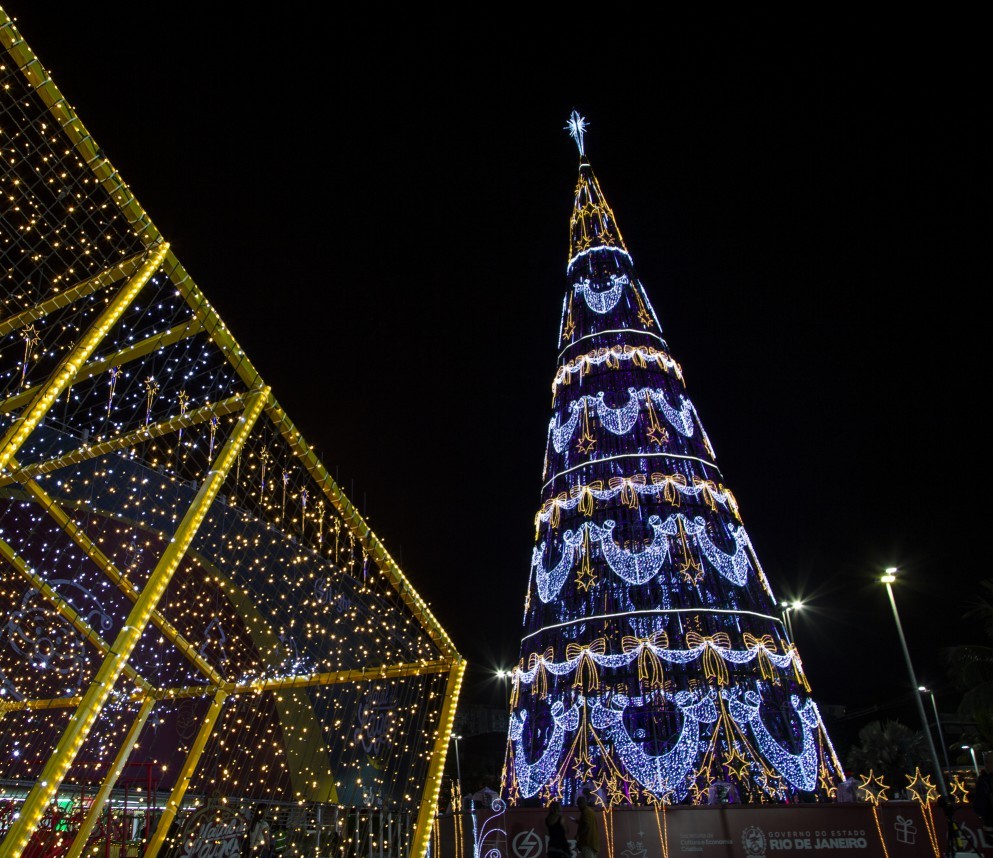 Casa do papai noel e árvore da Lagoa — Foto: Alexandre Cassiano