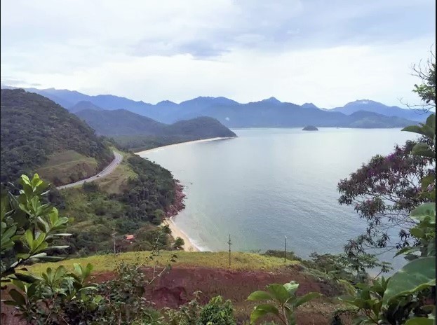 Propriedade fica em meio à Mata Atlântica, com vista para o mar — Foto: Divulgação/Lut Leilões