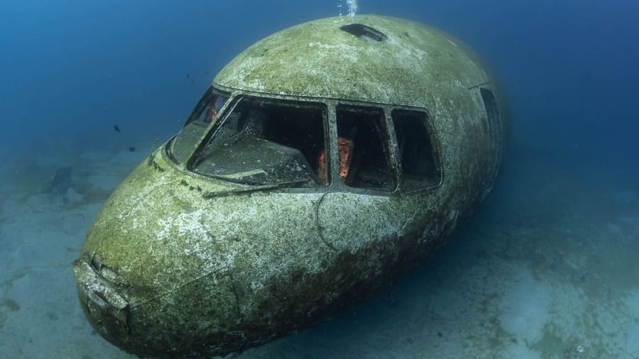 Mergulhador explora o avião Lockheed L-1011 TriStar afundado no Mar Vermelho, na Jordânia — Foto: Reprodução / Brett Hoelzer / Deep Blue Dive Center