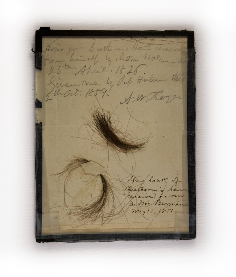 Mechas de Beethoven — Foto: Kevin Brown via The New York Times