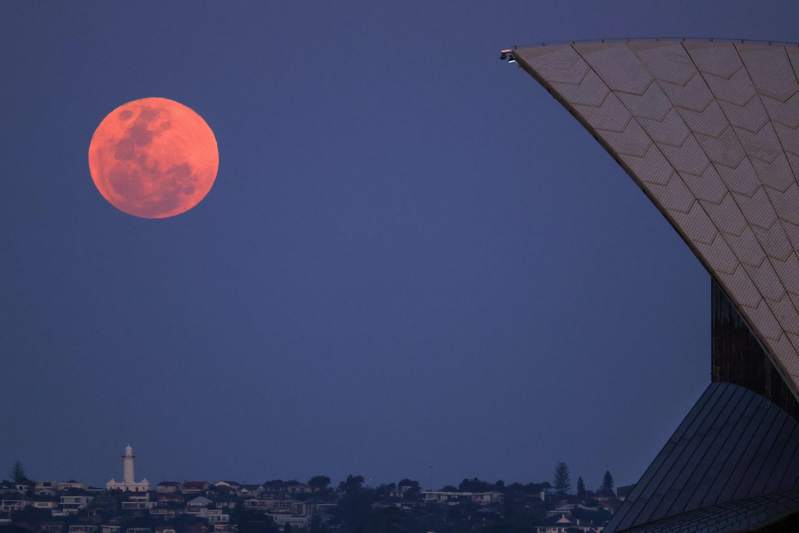 Última Superlua de 2023 surge acima do Farol Macquarie e da Ópera de Sydney — Foto: David Gray / AFP