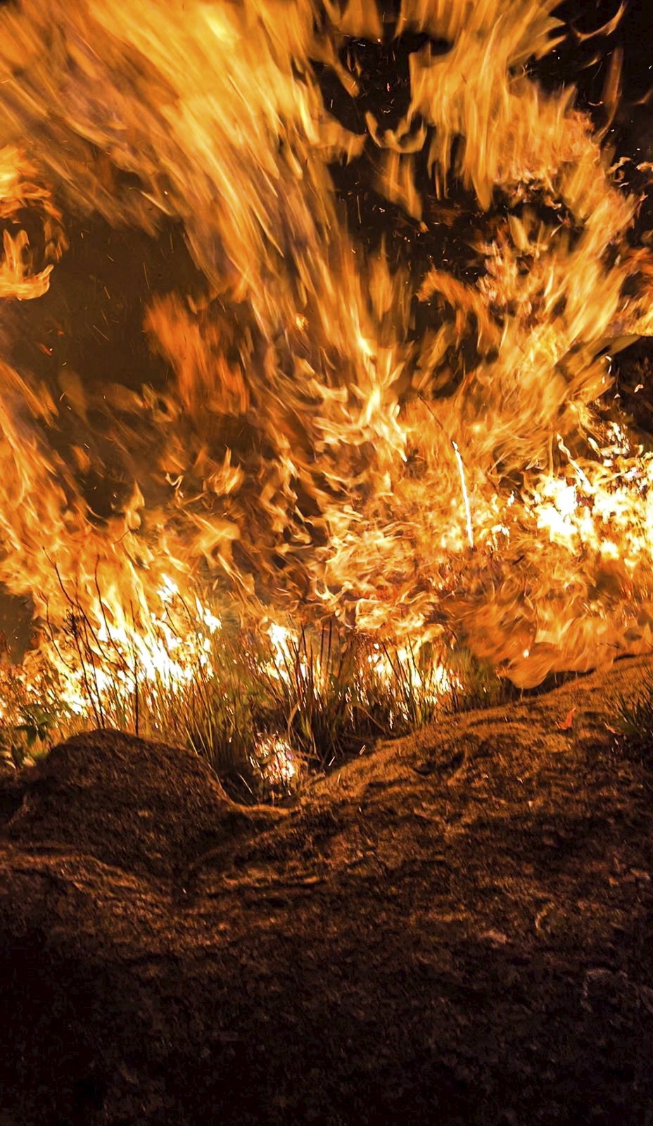 As chamas na superfície, quando há folhas e gramíneas, podem chegar a temperaturas entre 500°C e 800°C