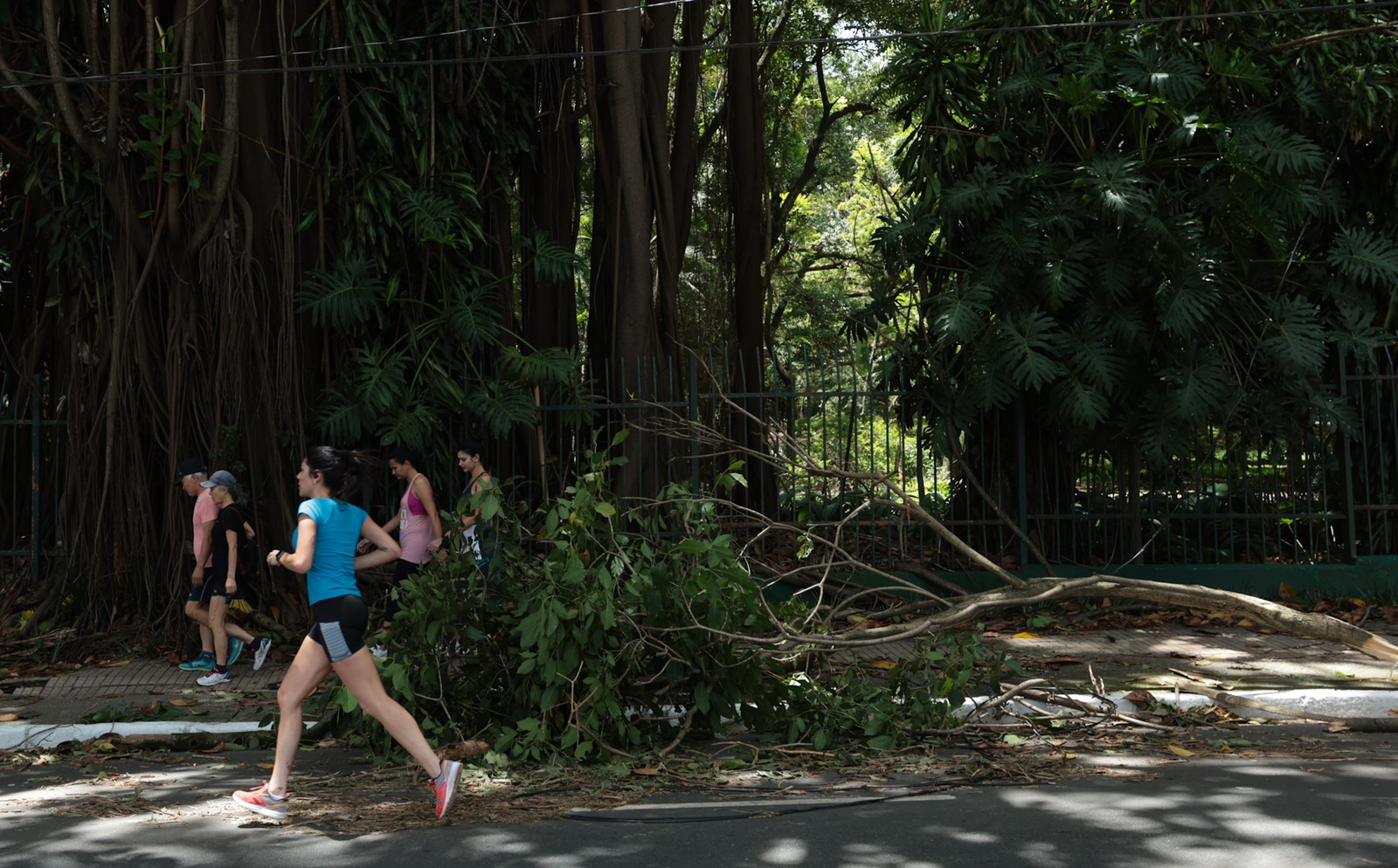 Parque Ibirapuera foi fechado neste sábado para o restabelecimento das condições de visitação — Foto: Maria Isabel Oliveira / Agência O Globo