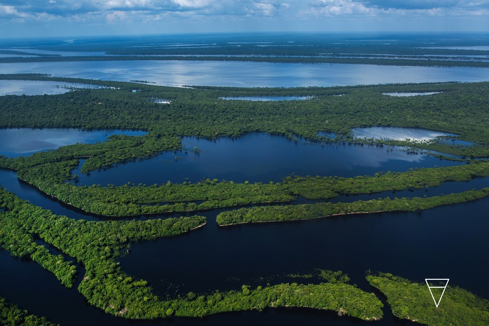 Amazônia perdeu vegetação primária Divulgação/Sitah — Foto:         