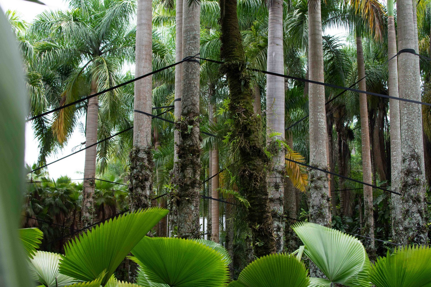 Detalhe de “Puxador-paisagem (H=c/M=c)” no Inhotim — Foto: Divulgação/Inhotim