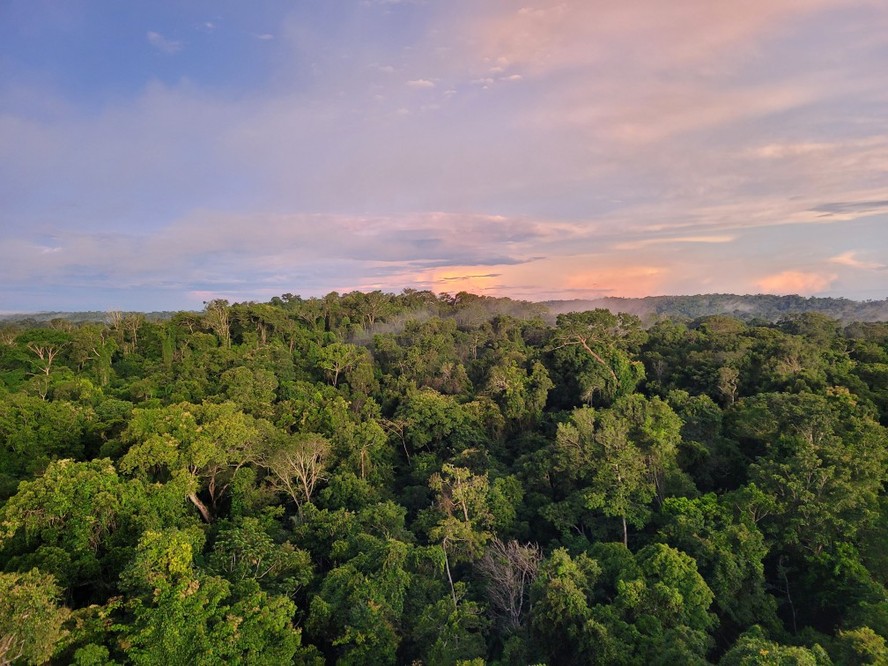 Floresta Amazônica