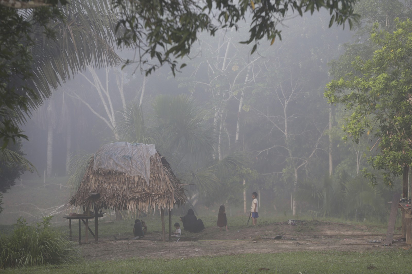 Verão amazônico tem chuva e sol algumas vezes ao dia, mas sempre amanhece com uma neblina que refresca a comunidade Apiwtxa — Foto: Domingos Peixoto / Agência O Globo