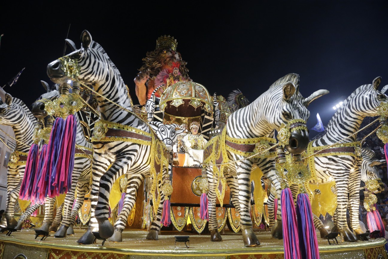 Desfile da Beija-flor — Foto: Domingos Peixoto