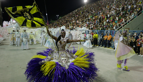 Cão caramelo vira enredo de escola de samba do Rio para o carnaval 2025
